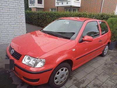 VW Polo