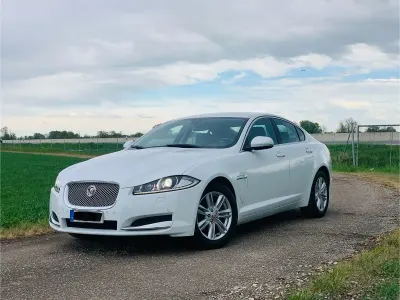 Gebraucht Jaguar XF 200 PS (147 kW) 2014 Weiß Limousine