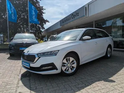 Gebraucht Skoda Octavia 150 PS (110 kW) 2020 Weiß Kombi