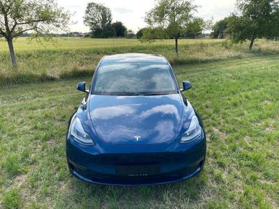 gebraucht Tesla Model Y Dual Long Range