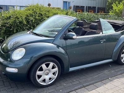 VW Beetle