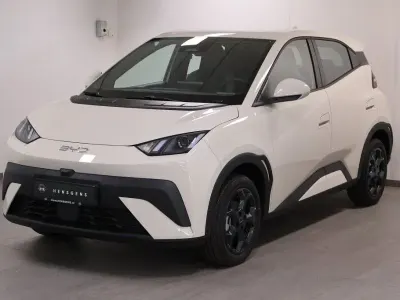 Gebraucht BYD Dolphin Surf