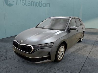 Gebraucht Skoda Octavia Selection 150 PS (110 kW) 2024 Grau Kombi