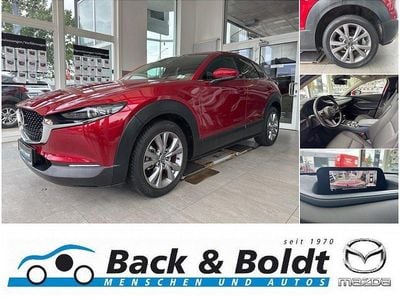 Gebraucht Mazda CX-30 Selection 89 kW (122 PS) 2021 SUV