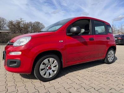 gebraucht Fiat Panda 1,2 Pop 1.HAND Zahnriemen NEU !! KLIMA