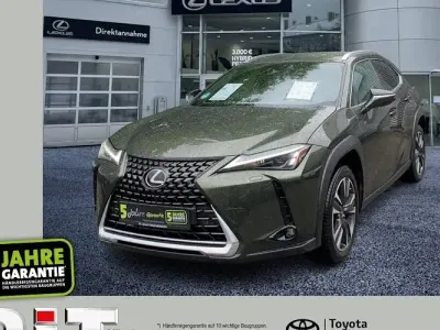 Gebraucht Lexus UX 250h 184 PS (135 kW) 2023 Grün SUV
