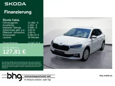 Gebraucht Skoda Fabia Active 95 PS (69 kW) 2023 Candyweiß Kleinwagen