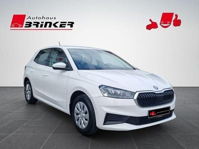 Gebraucht Skoda Fabia Active 65 PS (47 kW) 2022 Candyweiss Kleinwagen
