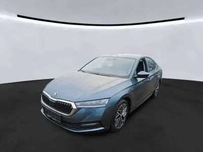 Gebraucht Skoda Octavia Clever 150 PS (110 kW) 2021 Grau Limousine