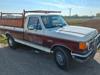 Gebraucht Ford V8 209 PS (153 kW) 1989 Beige Pickup