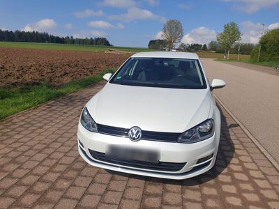 gebraucht VW Golf VII 1.6 TDI BlueMotion Technology Allstar