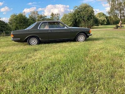 Grün Gebraucht 1978 Mercedes 230 Coupé | 6.000 €