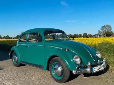 Gebraucht VW Käfer 34 PS (25 kW) 1964 Grün Limousine