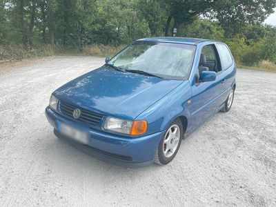 VW Polo
