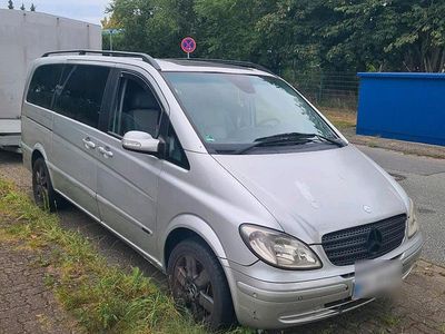Mercedes Viano