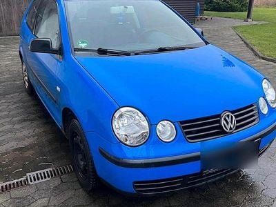 Blau Gebraucht 2002 VW Polo Kleinwagen | 1.300 € (Fairer Preis)