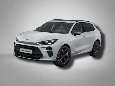 Usata Cupra Terramar VZ 265 CV (194 kW) 2025 Bianco SUV