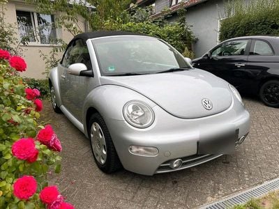 VW Beetle