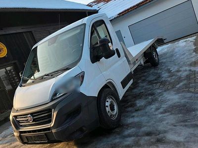 Gebraucht Fiat Ducato 160 PS (117 kW) 2019 Weiß Van