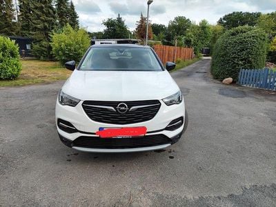 Usata Opel Grandland X 177 CV (130 kW) 2019 Bianco SUV