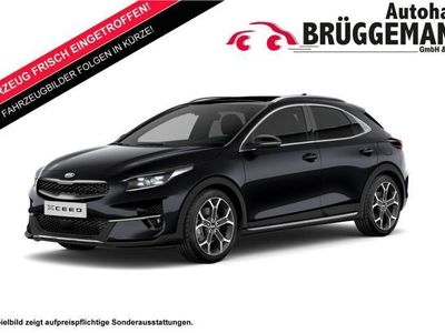 gebraucht Kia XCeed XCeed 1.5 T-GDI DCT7 PLATINUM MJ24 GLASDACH LED1.5 T-GDI DCT7 PLATINUM MJ24