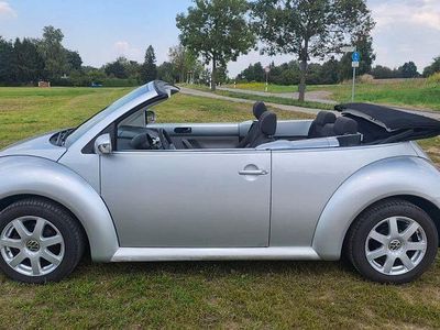 VW Beetle