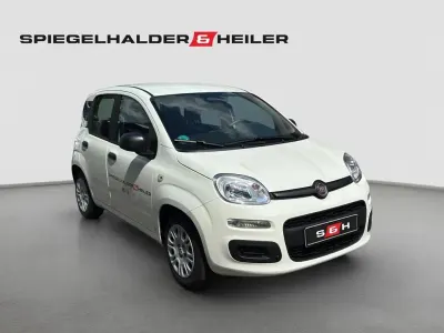 Gebraucht Fiat Panda Icon 65 PS (47 kW) 2026 Schwarz Kleinwagen