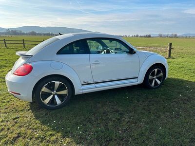 gebraucht VW Beetle Cup Edition Leder Sondermodell