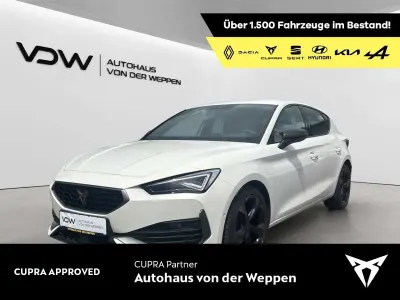 Brugt Cupra Leon