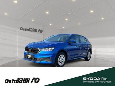 Gebraucht Skoda Fabia Active 65 PS (47 kW) 2023 Raceblau metallic Kleinwagen