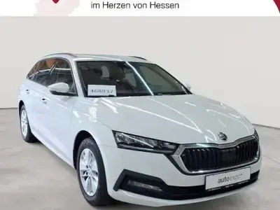 Usata Skoda Octavia