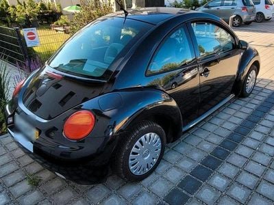 VW Beetle