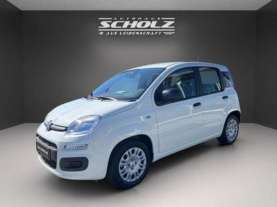 Neu Fiat Panda Icon 65 PS (47 kW) 2026 Weiß Kleinwagen