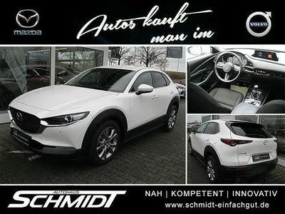Usata Mazda CX-30 Selection 150 CV (110 kW) 2020 Bianco SUV