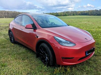 gebraucht Tesla Model Y Long Range AWD AHK 20"