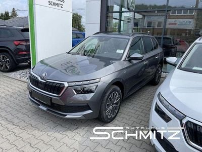 Grau Gebraucht 2023 Skoda Kamiq Tour SUV | 21.896 € (Guter Preis)
