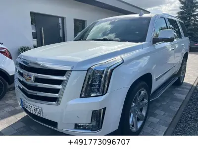 Gebraucht Cadillac Escalade 426 PS (313 kW) 2016 Weiß SUV