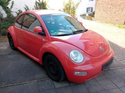 VW Beetle