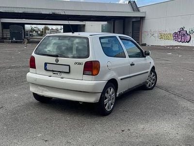 VW Polo