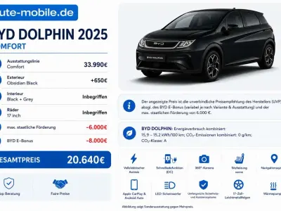 Używany BYD Dolphin