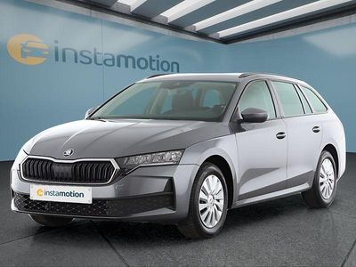 Grau Gebraucht 2025 Skoda Octavia Kombi | 24.099 € (Guter Preis)