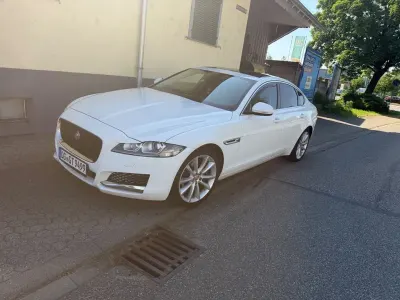 Käytetty Jaguar XF Prestige 179 HP (131 kW) 2018 Valkoinen Sedan