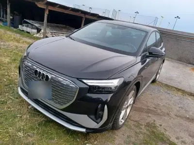 Gebraucht Audi Q4 Sportback e-tron S-Line 152 kW (207 PS) 2023 Mythos black metallic SUV