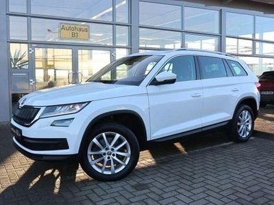 Gebraucht Skoda Kodiaq Business Line 190 PS (139 kW) 2020 Weiß SUV