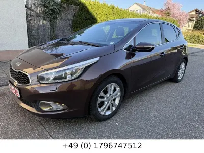 Gebraucht Kia Ceed Spirit 128 PS (94 kW) 2015 Braun Kleinwagen