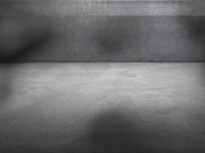 Gebraucht Skoda Octavia RS 220 PS (161 kW) 2016 Blau metallic Kleinwagen