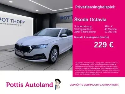 Gebraucht Skoda Octavia Style 116 PS (85 kW) 2023 Candyweiß Kombi