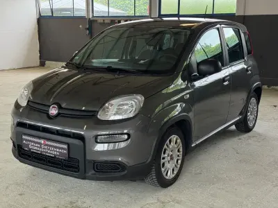 Occasion Fiat Panda 69 ch (50 kW) 2023 Gris Citadine