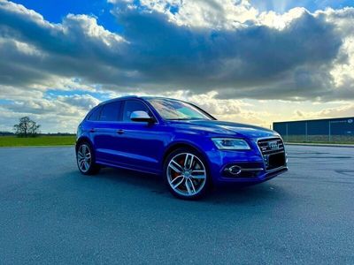 gebraucht Audi SQ5 3.0 TDI plus tiptronic quattro - 21Zoll