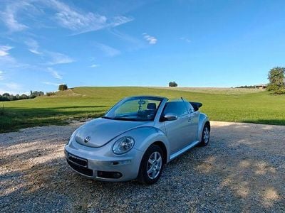 VW Beetle